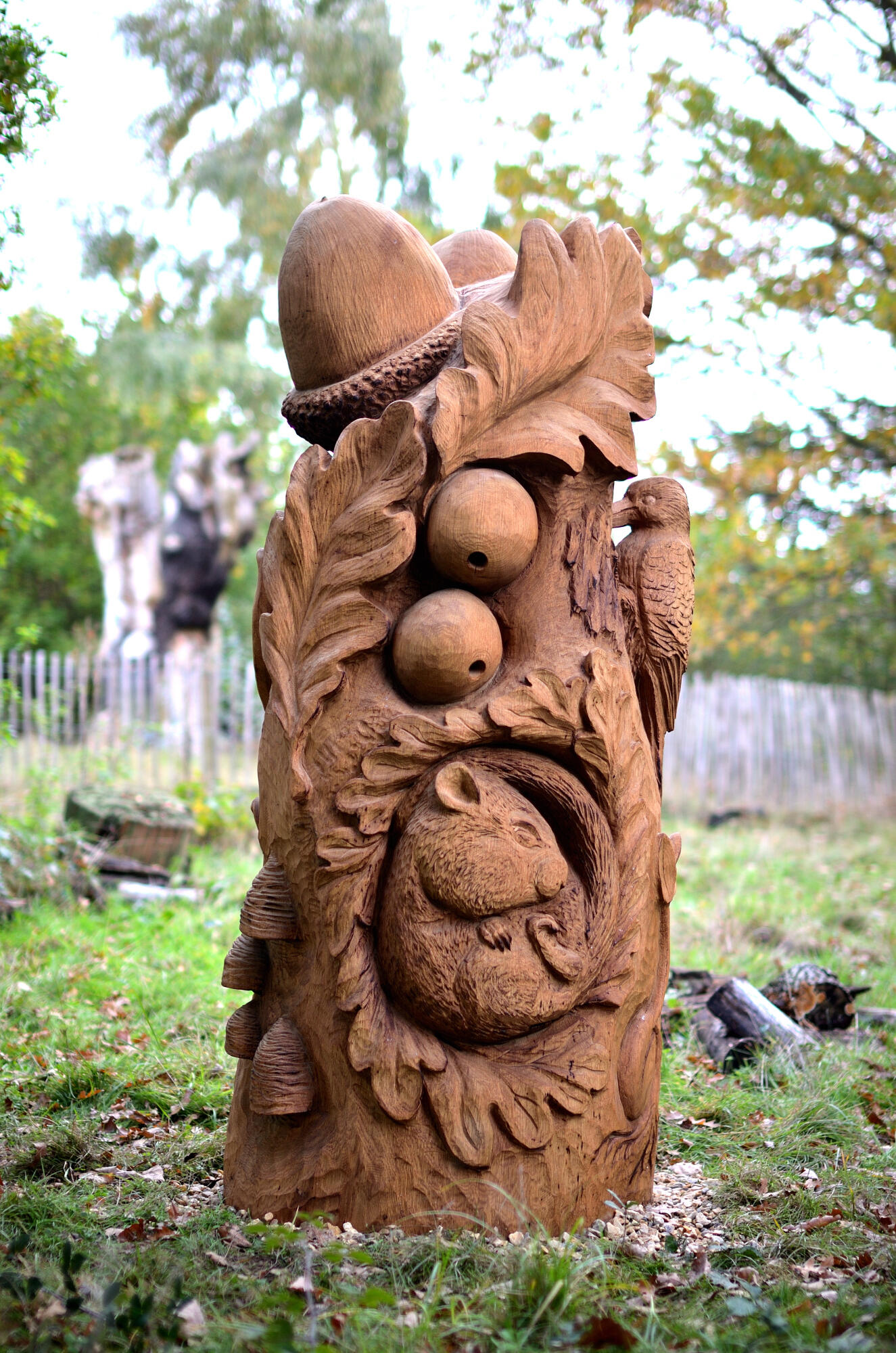 Oak Life at Richmond Park Dan Cordell