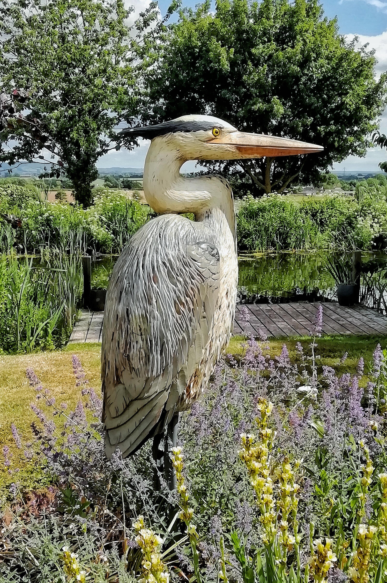 Heron at Grand Western Canal Dan Cordell